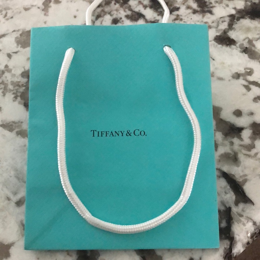 Tiffany & Co. Small Bag